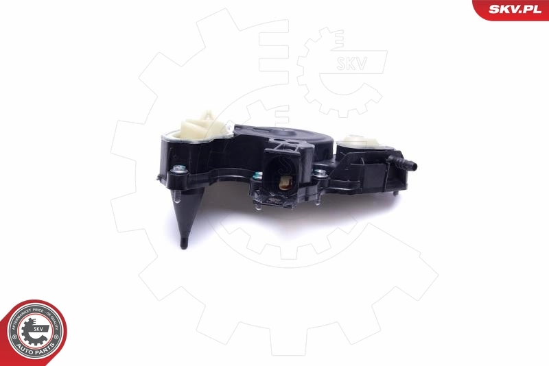 Oil Cooler, engine oil 31SKV175