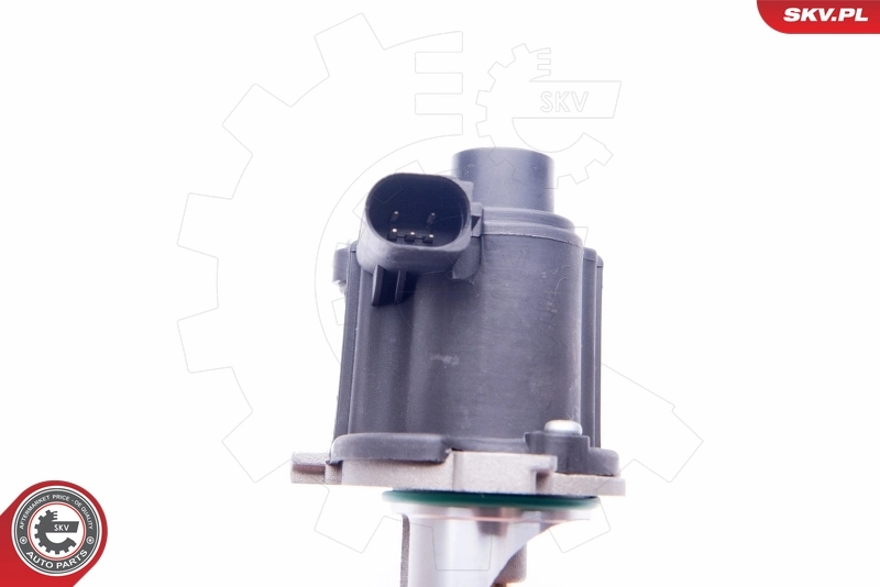 EGR Valve 14SKV172