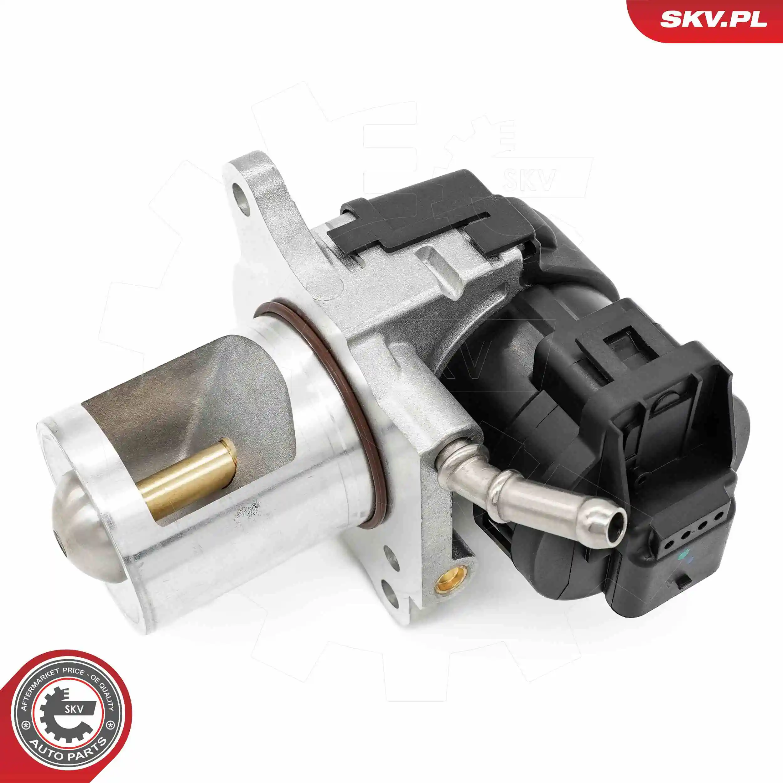 EGR Valve 14SKV261