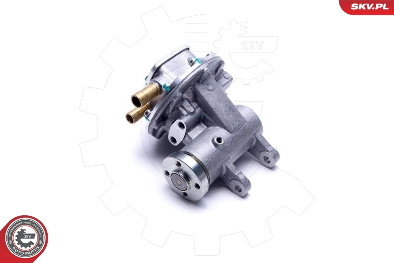 Vacuum Pump, braking system 18SKV035