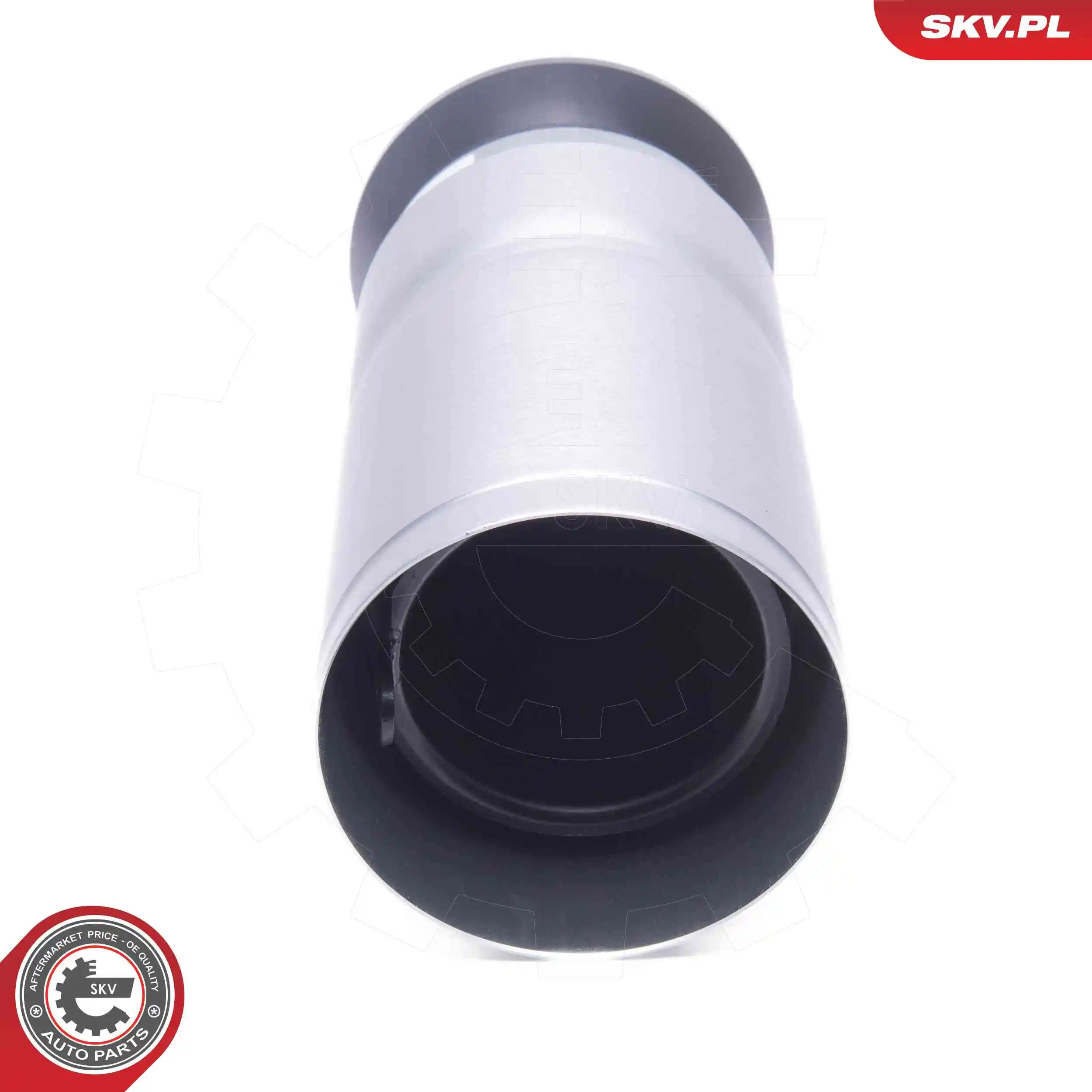 Air Spring, suspension 58SKV089