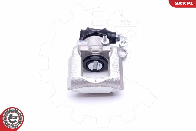 Brake Caliper 42SKV104