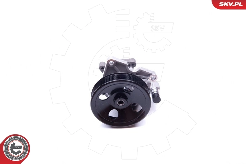 Hydraulic Pump, steering 10SKV270