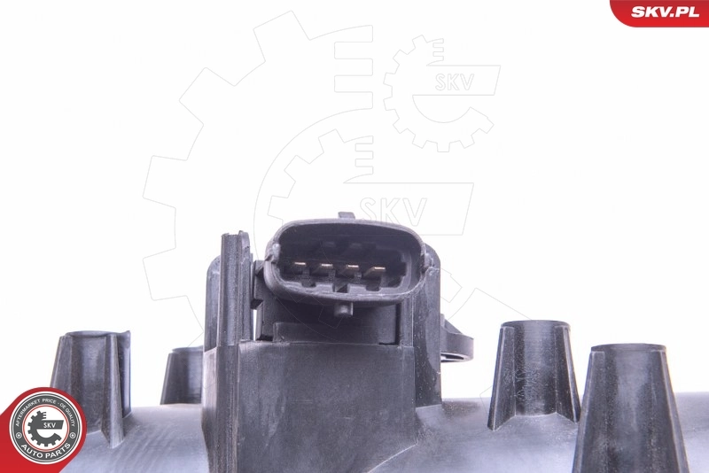 Intake Manifold Module 49SKV024