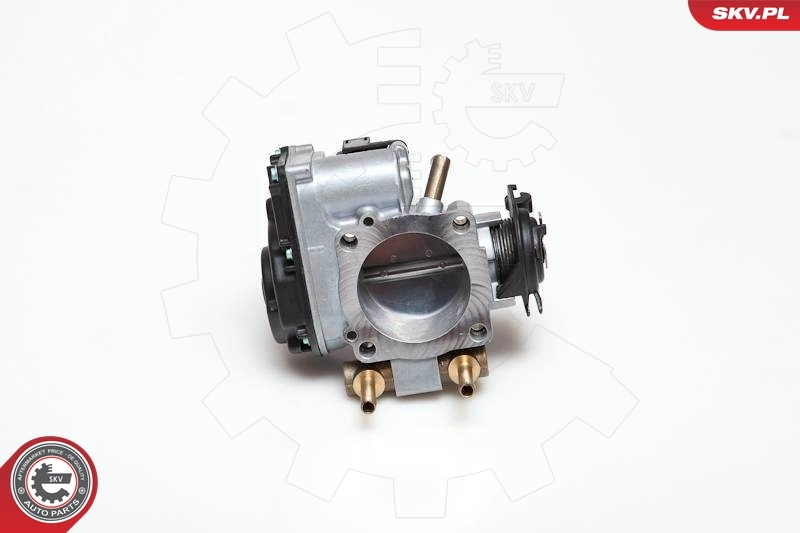 Throttle Body 12SKV003
