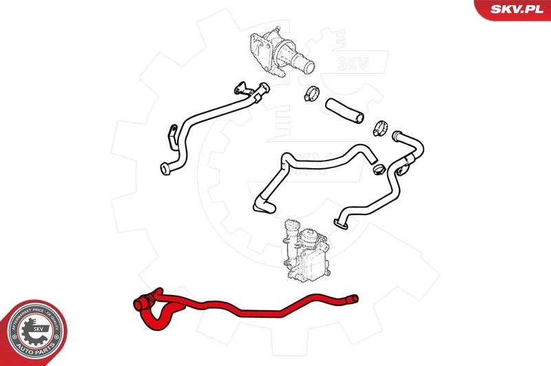 Radiator Hose 24SKV235