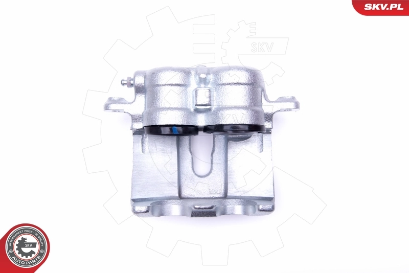 Brake Caliper 46SKV031