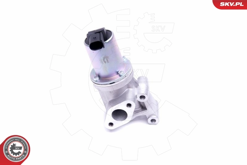 EGR Valve 14SKV211