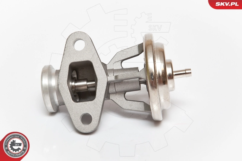 ESEN SKV 14SKV068 EGR Valve