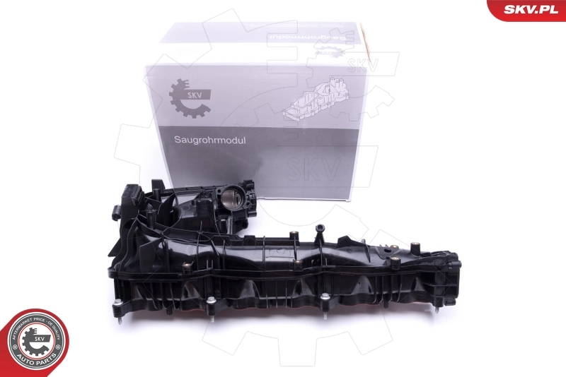 Intake Manifold Module 49SKV019