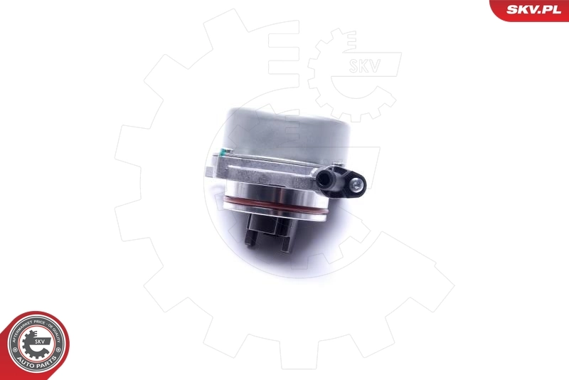 Vacuum Pump, braking system 18SKV046