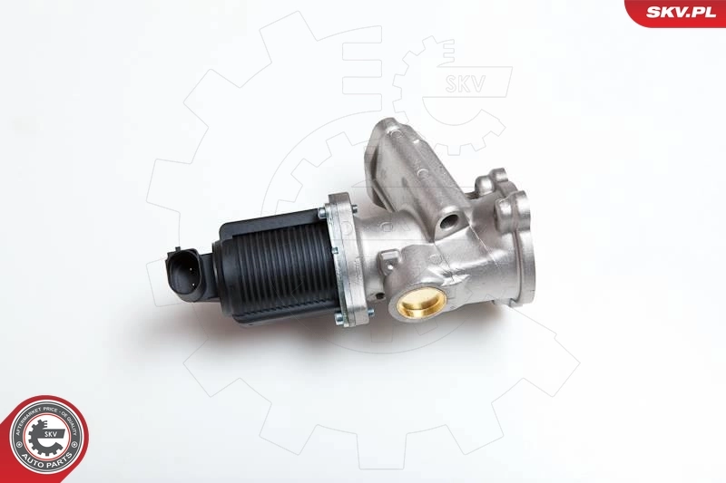 EGR Valve 14SKV040
