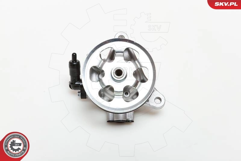 Hydraulic Pump, steering 10SKV076