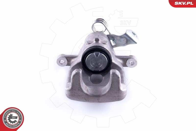Brake Caliper 55SKV203
