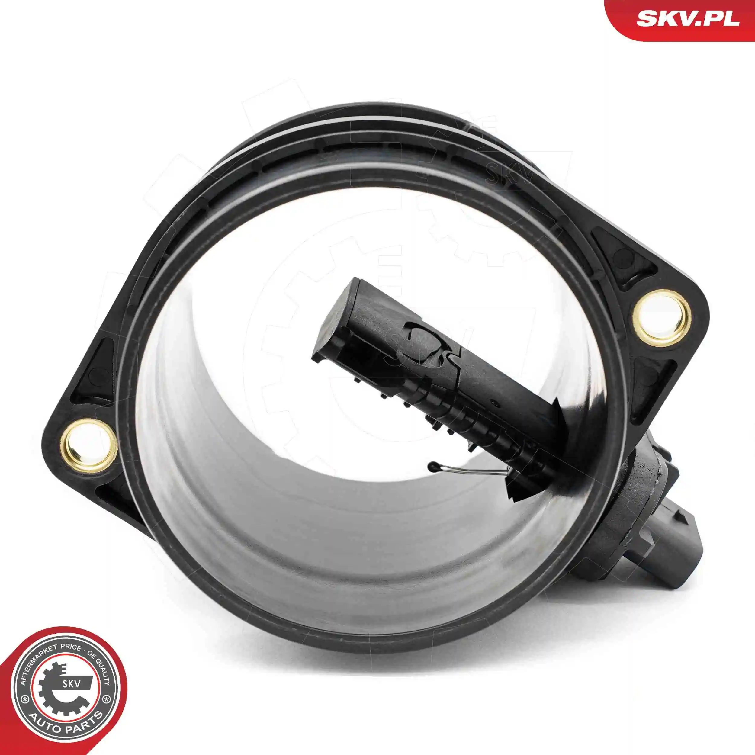 Luftmassenmesser 07SKV239