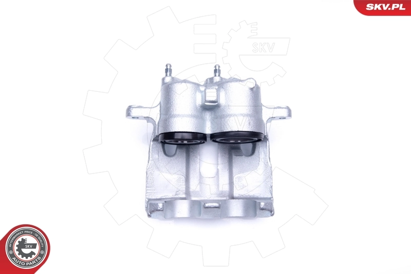 Brake Caliper 42SKV721