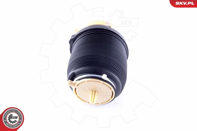 Air Spring, suspension 58SKV029