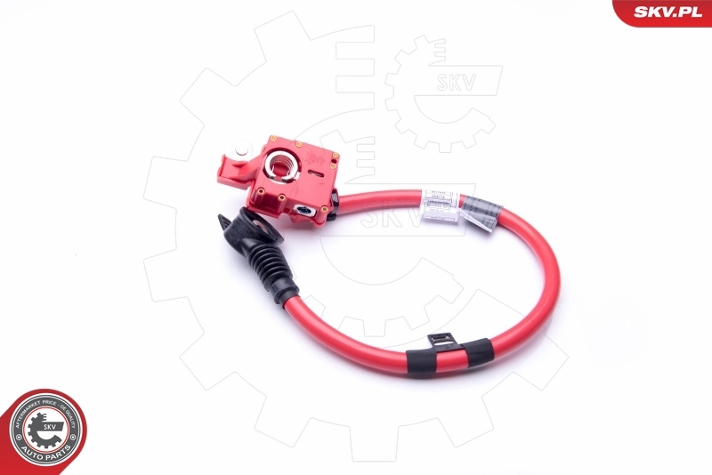 ESEN SKV 96SKV306 Battery Adapter