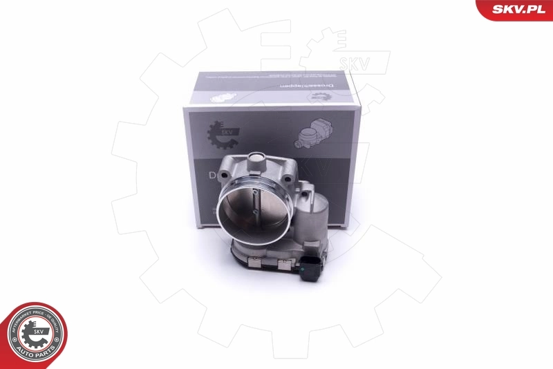 Throttle Body 12SKV105