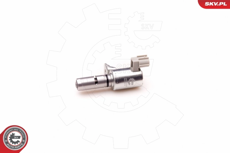 Control Valve, camshaft adjustment 39SKV005