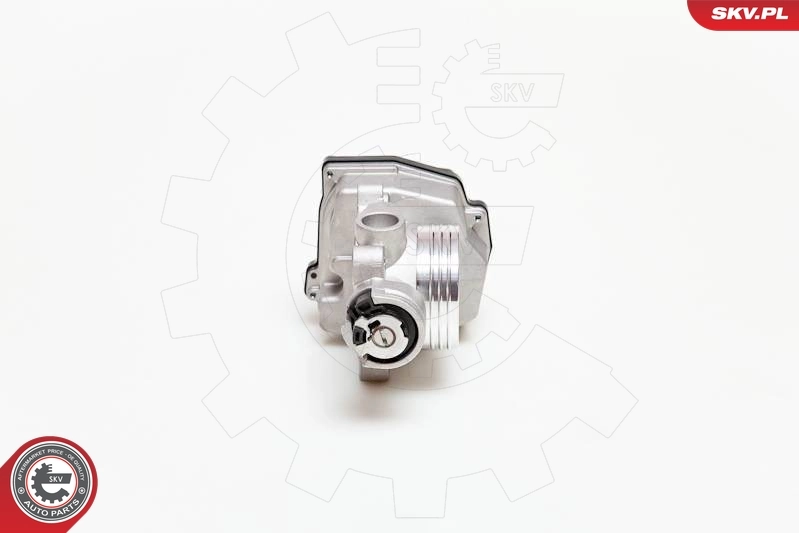 Throttle Body 12SKV031