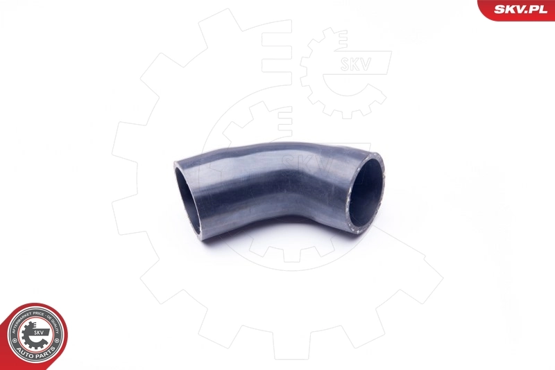 Charge Air Hose 24SKV733