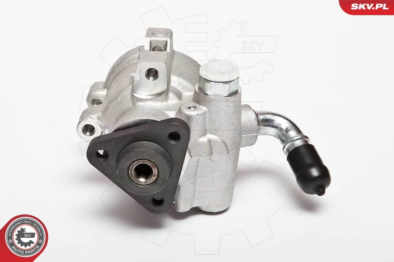 Hydraulic Pump, steering 10SKV041