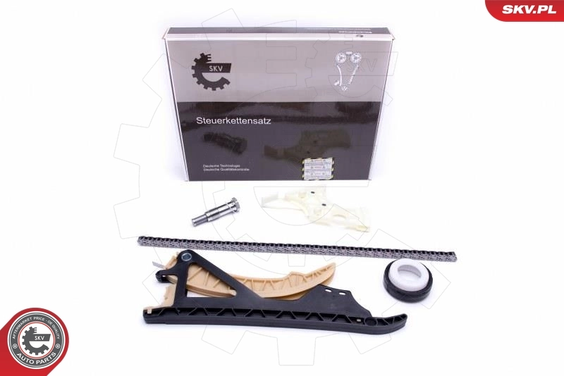 Timing Chain Kit 21SKV169