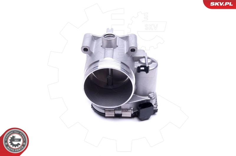 Throttle Body 12SKV088