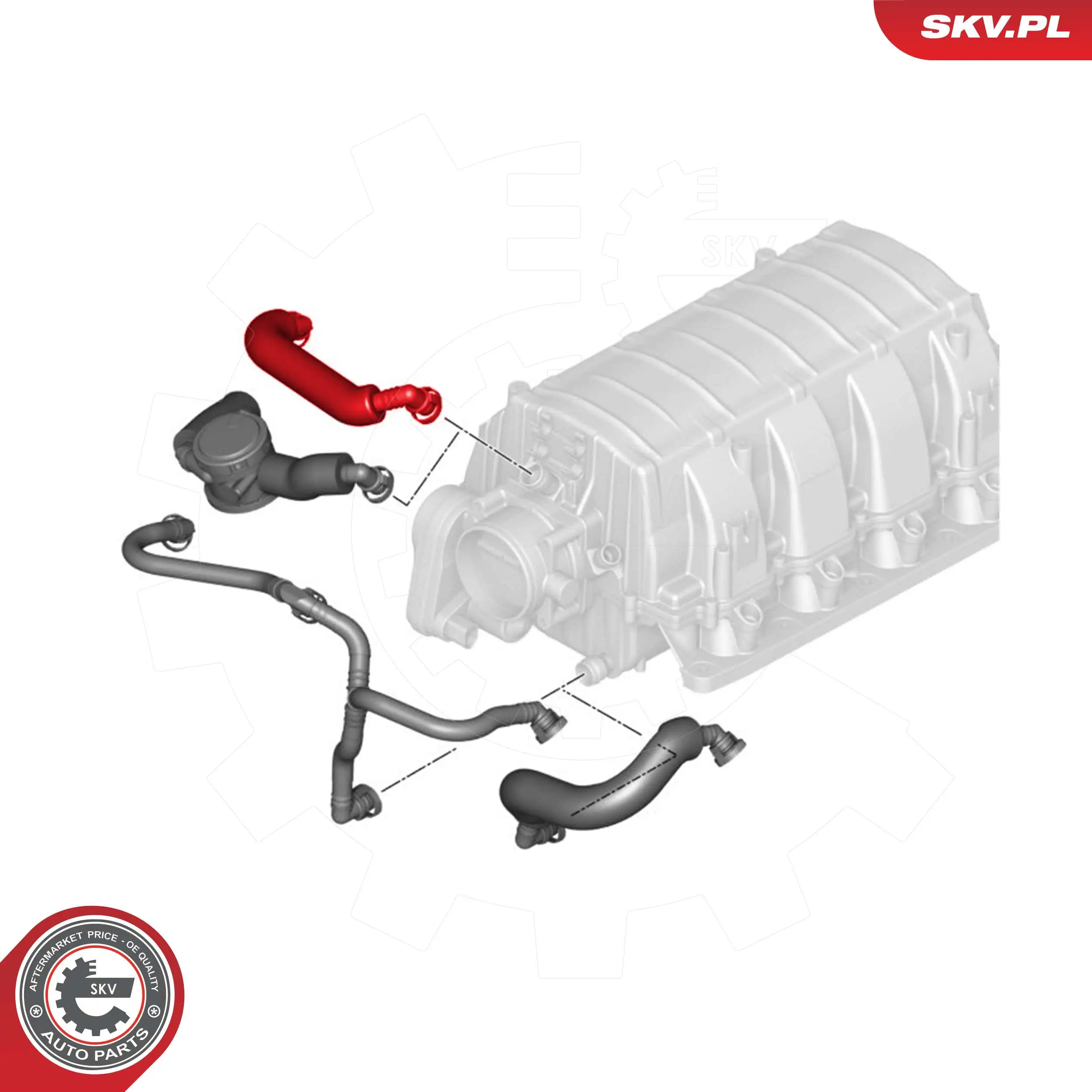 Hose, crankcase ventilation 54SKV749