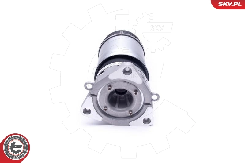 ESEN SKV 58SKV067 Air Suspension Strut