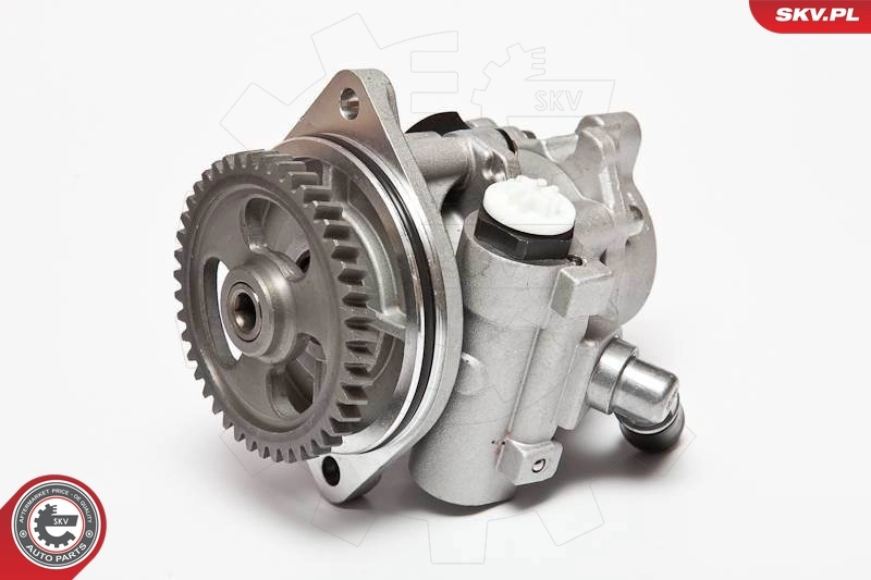 ESEN SKV 10SKV045 Hydraulic Pump, steering