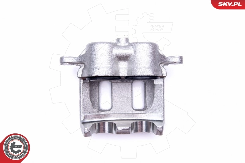 Brake Caliper 45SKV671