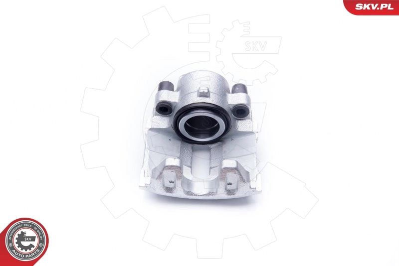 Brake Caliper 42SKV021