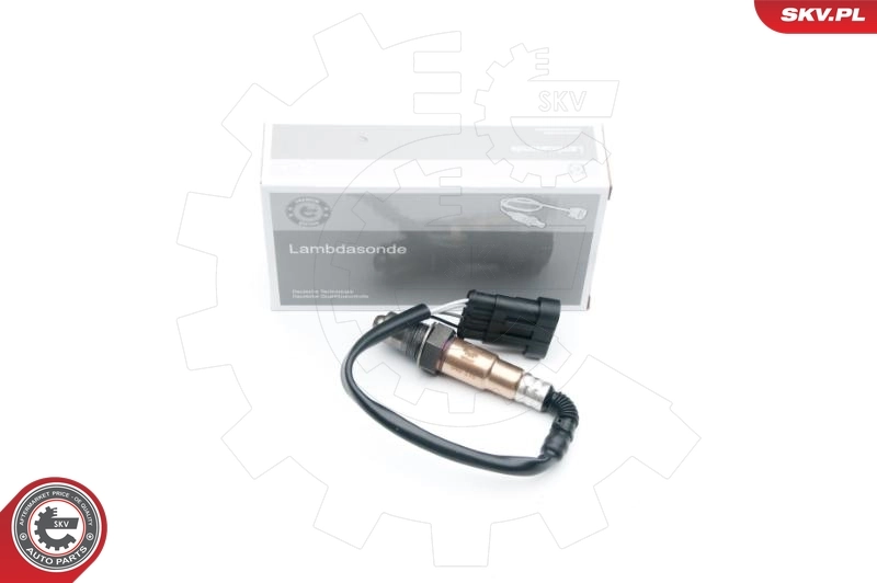 Oxygen Sensor 09SKV618