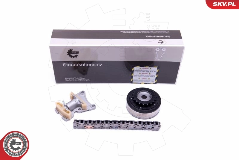 Timing Chain Kit 21SKV115