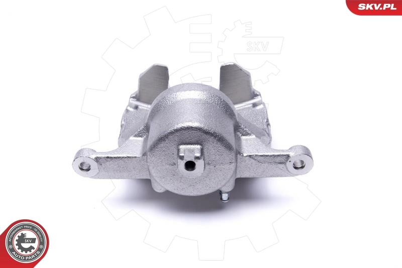 Brake Caliper 55SKV981