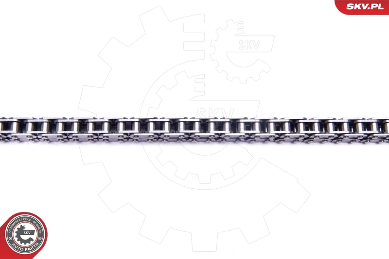 Timing Chain Kit 21SKV111