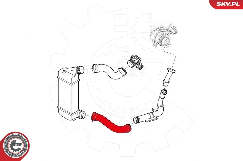 Charge Air Hose 43SKV081