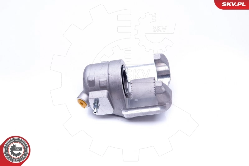 Brake Caliper 42SKV671