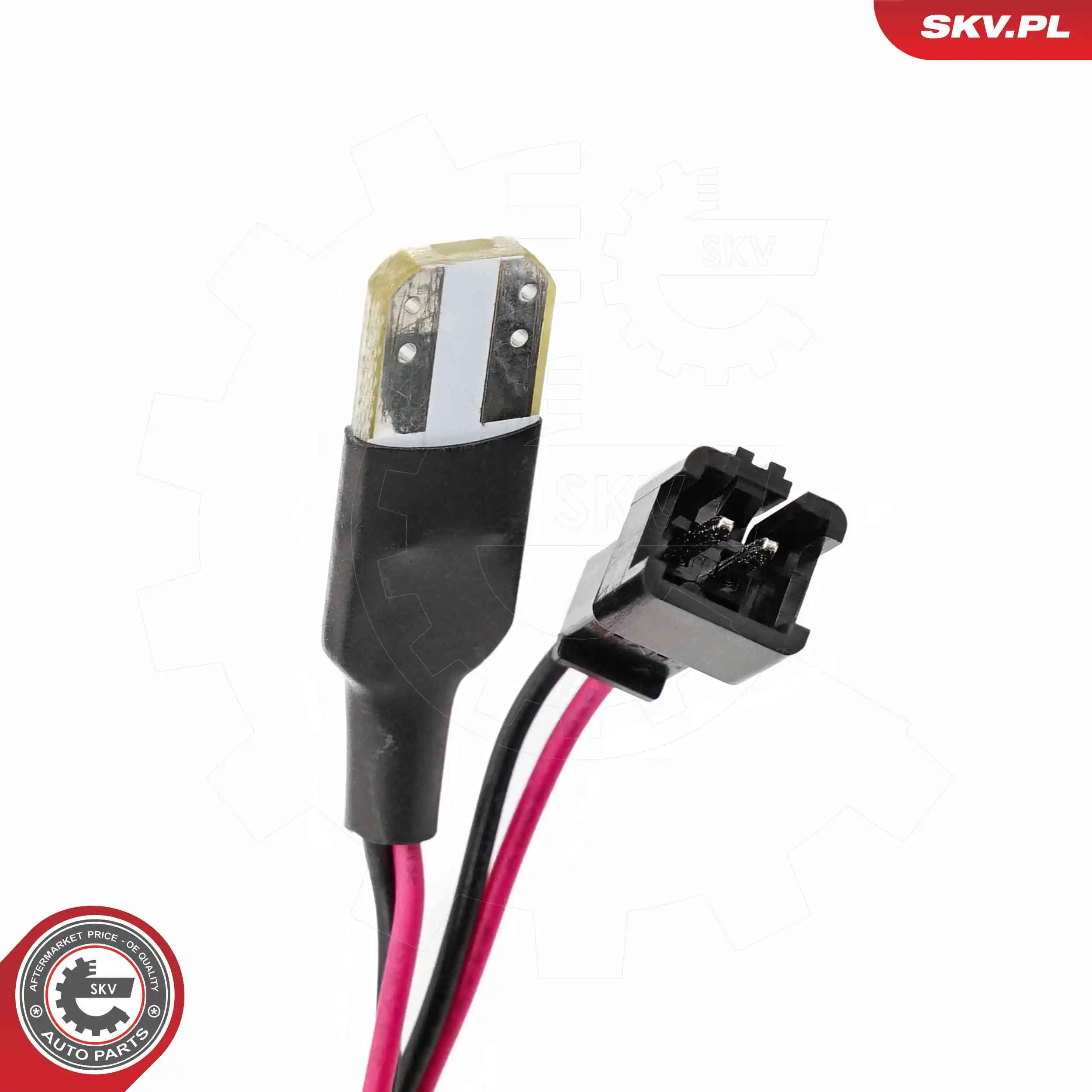 Licence Plate Light 72SKV542