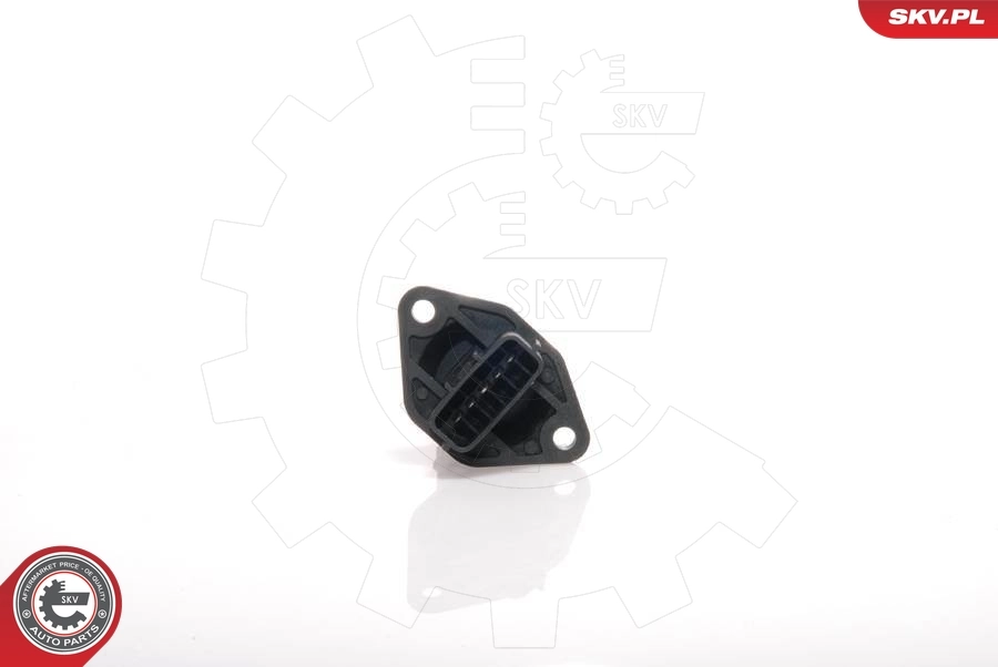 Mass Air Flow Sensor 07SKV051