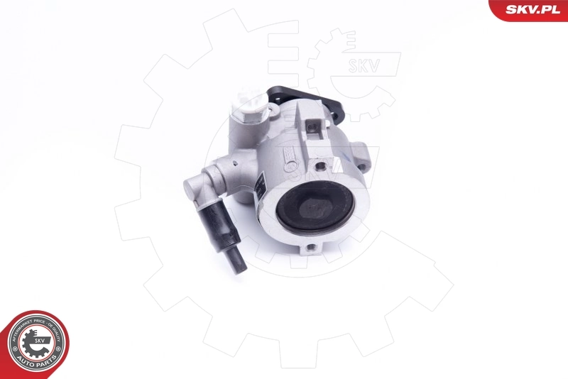 Hydraulic Pump, steering 10SKV252