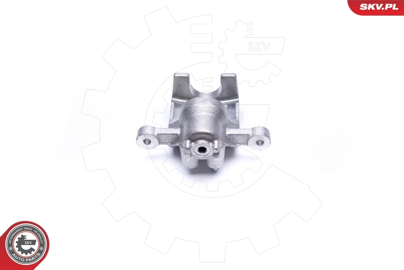Brake Caliper 42SKV563