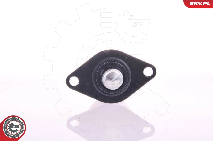 Idle Control Valve, air supply 08SKV040