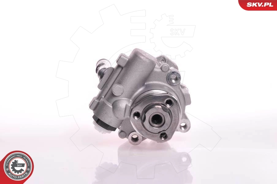Hydraulic Pump, steering 10SKV166