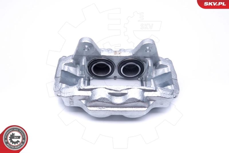Brake Caliper 45SKV201