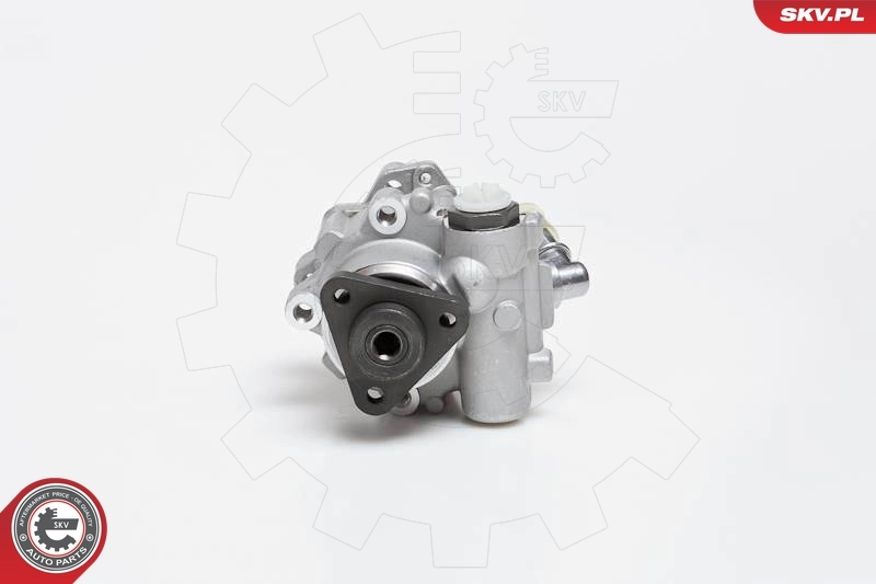 Hydraulic Pump, steering 10SKV014