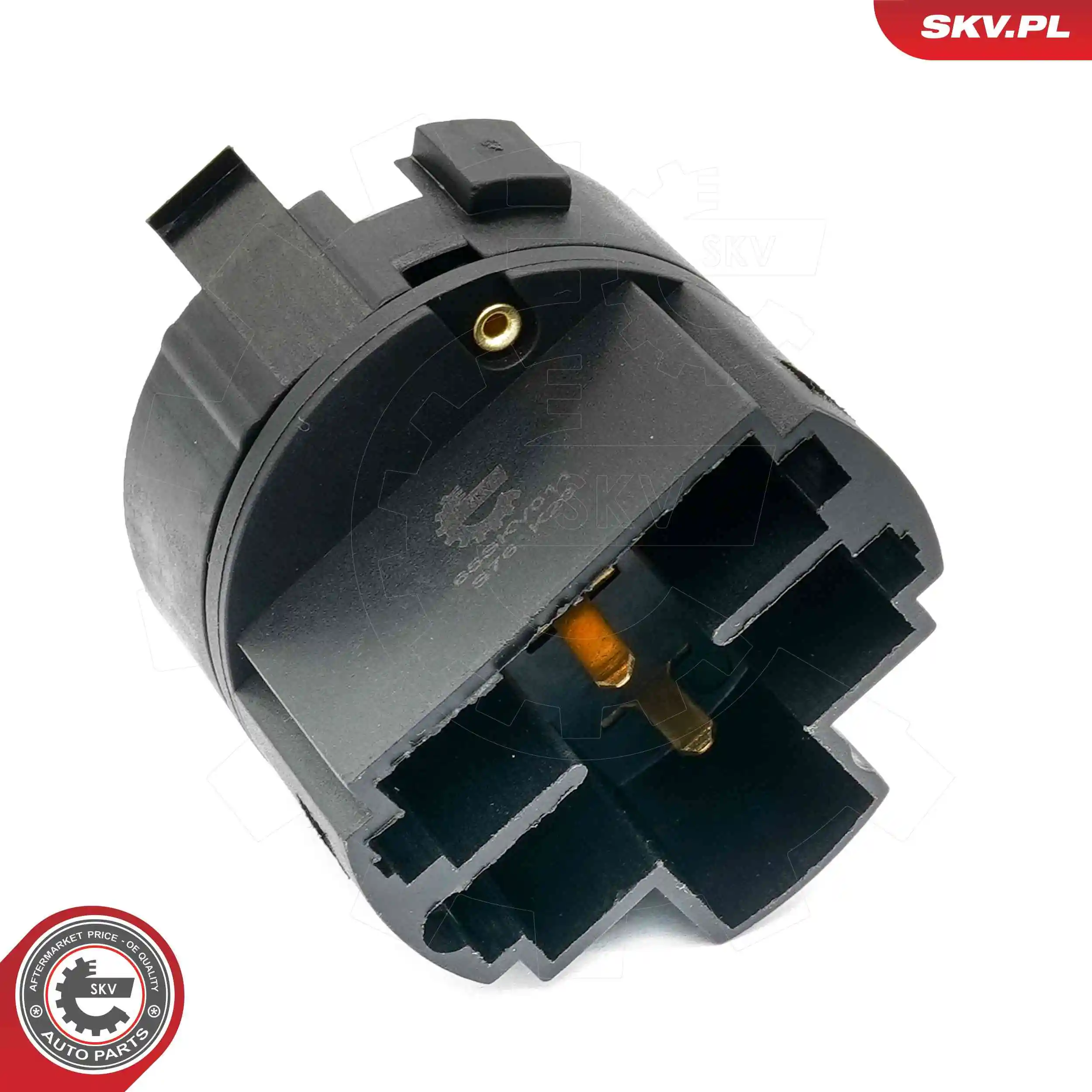 Ignition Switch 65SKV011