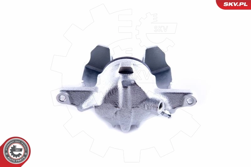 Brake Caliper 55SKV051